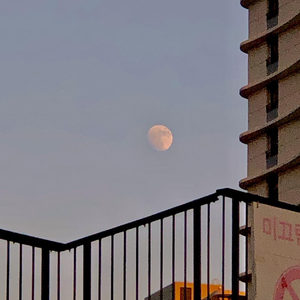 自慰喷水亚洲网站
